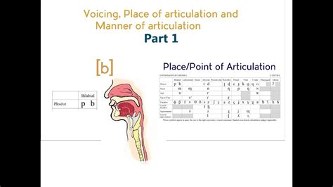 Place And Manner Of Articulation Chart