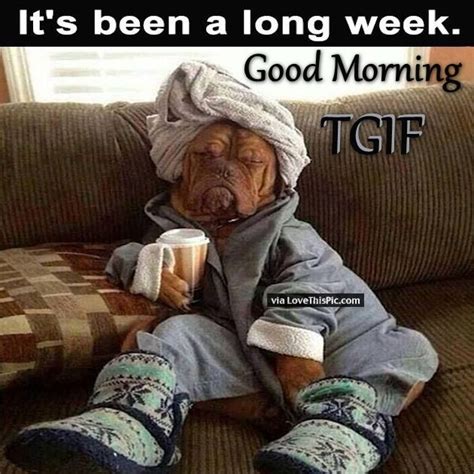 Good Morning Its Been A Long Week TGIF Pictures Photos And Images For
