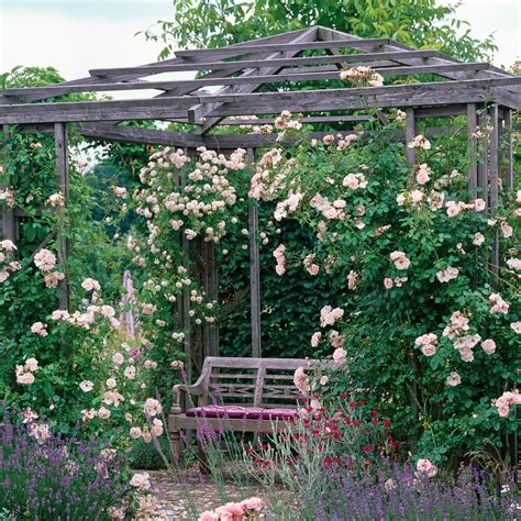 8 Ways To Recreate The Cottage Garden Look