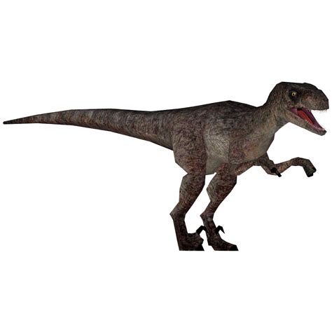Jurassic Park Deinonychus Mjmannella Zt2 Download Library Wiki Fandom