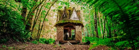 Fantasy Tiny Cabin From The Woods Dsigners