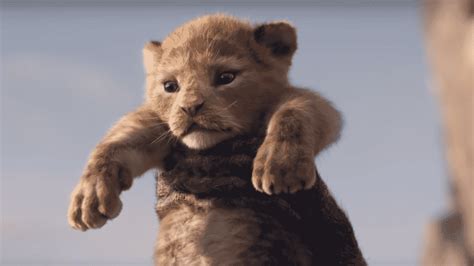 Simba é Apresentado Em 1º Trailer De O Rei Leão Em Live Action