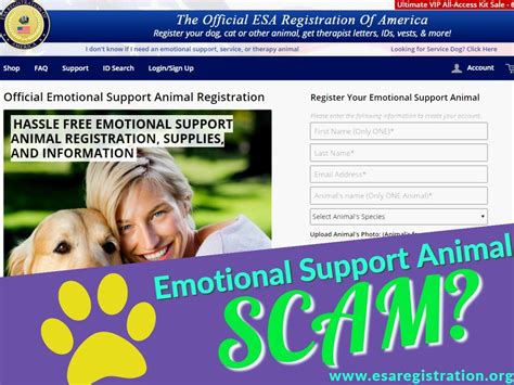 Emotional Support Animal Letter | Emotional support animal, Emotional support, Emotional support ...