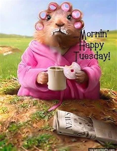 The 25 Best Happy Tuesday Pictures Ideas On Pinterest Happy Tuesday