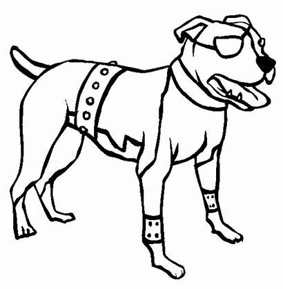 Pitbull Coloring Boxer Dog American Terrier Pages