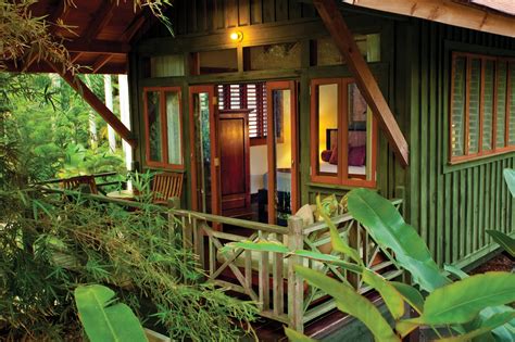 Treetop Deluxe Accommodations In Negril Jamaica
