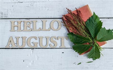 Summer Banner Word Hello August Old Book And Green Leaves On A White