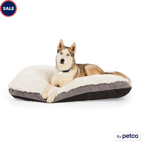 Everyyay Essentials Snooze Fest Lavender Scented Dog Bed 36 L X 48 W