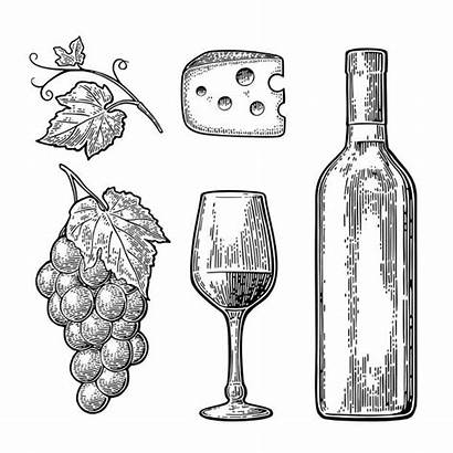 Wine Cheese Glass Bottle Grapes Vector Making