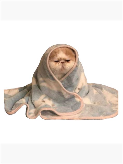 Sad Cat In Blanket Meme Art Print By Angelslover Redbubble