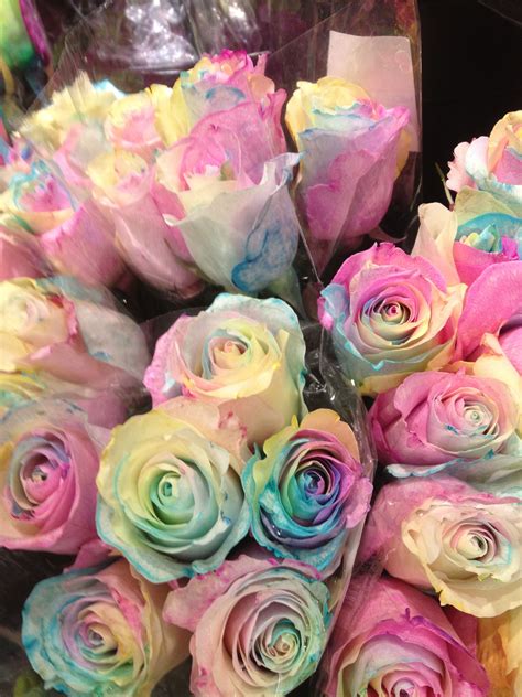 Beautiful multicolored flowers. | Flowers, Rose, Pastel