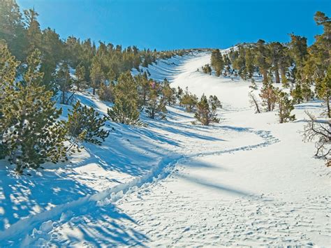 San Gorgonio Winter Ascent Backcountry Sights
