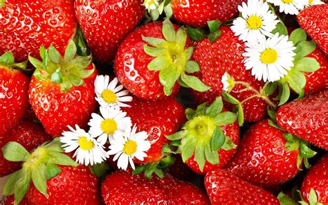 Strawberry Wallpapers Pictures Images