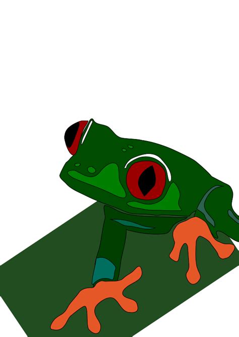 Red Eye Frog Clip Art At Vector Clip Art Online Royalty