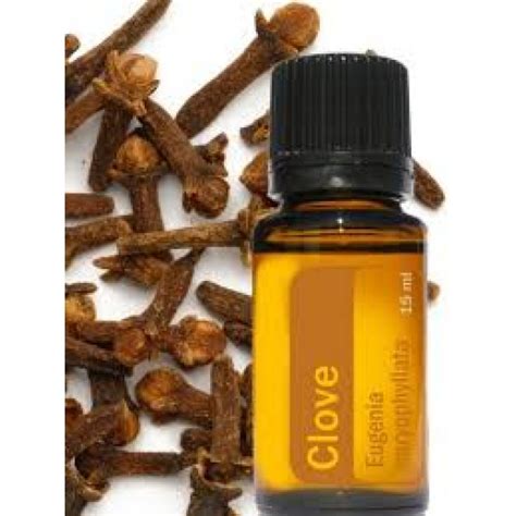 It is steam distilled from clove buds that have a sharp pungent smell. Doterra Single Essential Oil- Clove