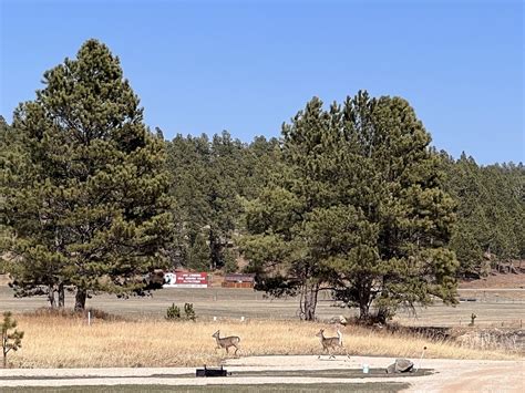 RV Park and Campground | Custer's Gulch | Custer, South Dakota