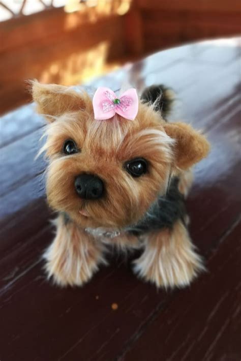 Realistic Soft And Plush Toy Dog Stuffed Yorkshire Terrier Plush Dog