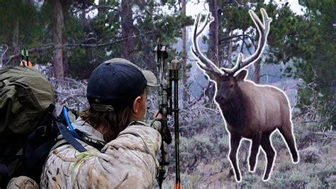 Bull Right Off The Road Colorado Otc Archery Elk Hunting Youtube