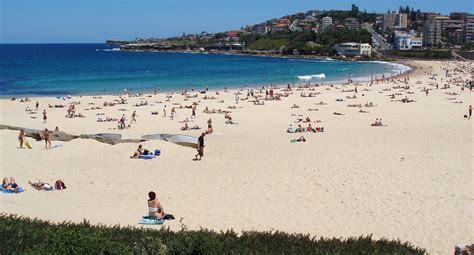 coogee beach sydney australia ultimate guide may 2024