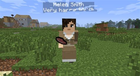 Maybe you would like to learn more about one of these? minecraft java edition mods - How can I make my villagers ...