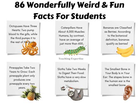 86 Wonderfully Weird And Fun Facts For Students Teaching Expertise