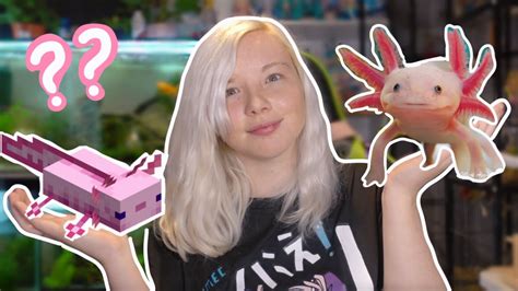 The Differences Of Minecraft Axolotls And Real Axolotls Youtube