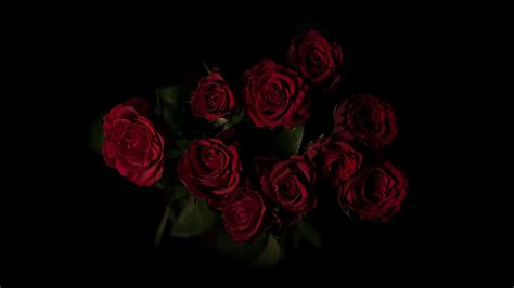 Roses Bouquet Red Dark Background 4k Wallpaper 4k