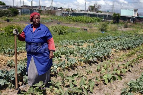 Daily Life In South African Township Khayelitsha South African