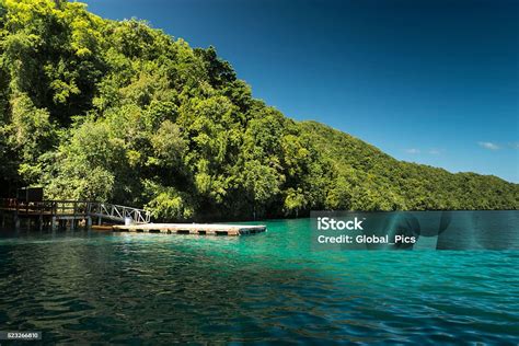 Rock Islands And Jellyfish Lake Palau Micronesia Stock Photo Download