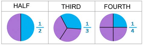 Learn About Fractions Halves Thirds And Fourths Elementary Math