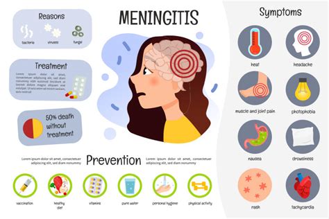 Viral Meningitis Treatment Prevention Symptoms Causes After Effects Hot Sex Picture