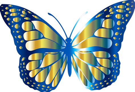 Blue Butterfly Vector Png