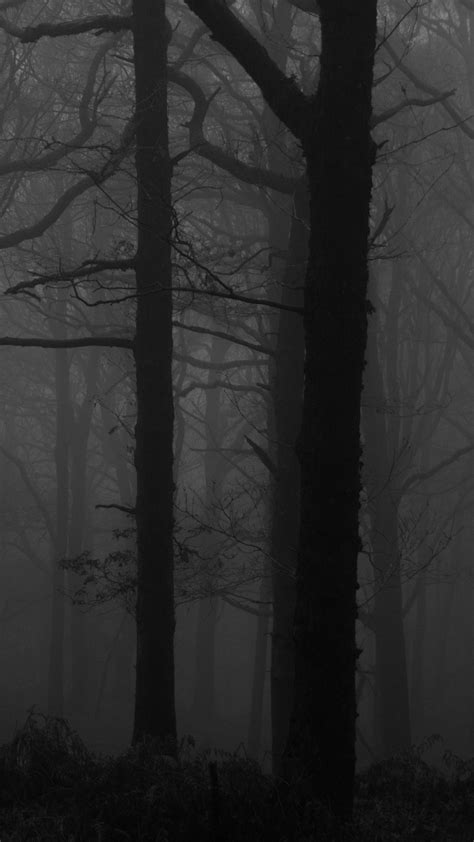 Download Wallpaper 2160x3840 Forest Fog Bw Trees Dark Samsung