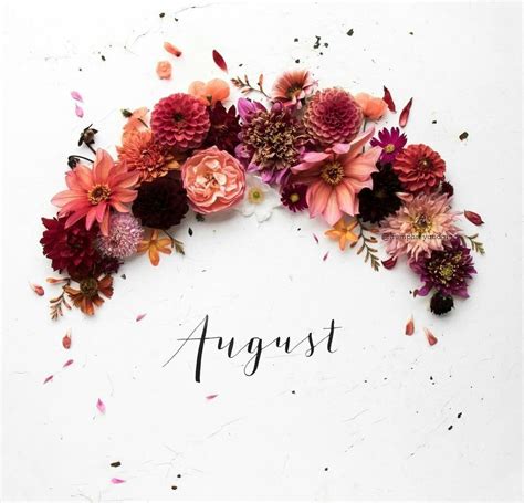 Hello August Flowers Summer Holiday Background Wallpaper