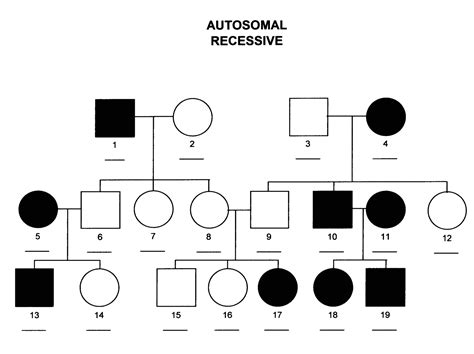 Autosomal Recessive Pedigree Chart Biology Notes Life Science Hot Sex Picture