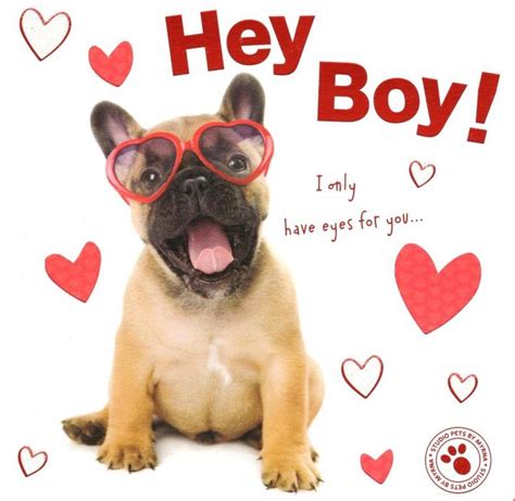 Hey Boy Cute Puppy Dog Valentines Day Greeting Card Cards