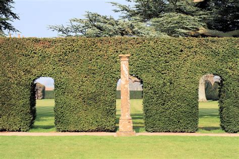 Hedge Hedge With Arches And Stone Sculpture Img1305 1 Ruth Hallam