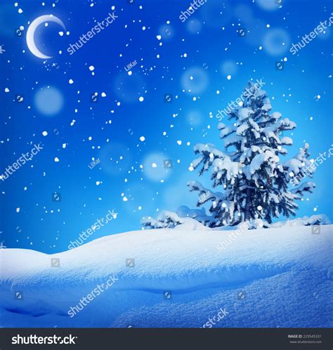 Winter Christmas Night Landscape Stock Photo 229545331