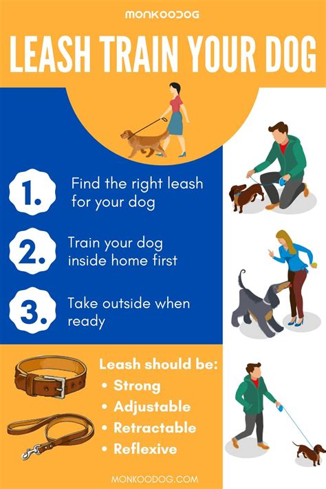 Easy Steps To Leash Train Your Dog Monkoodog