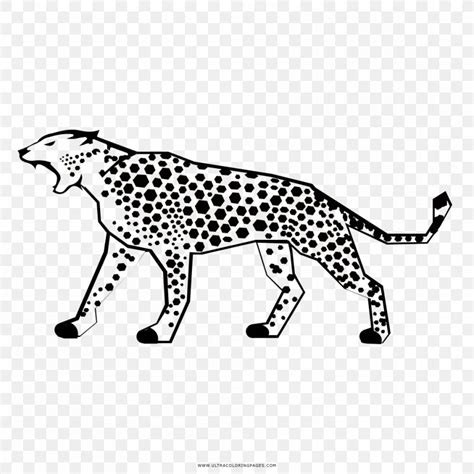 Cat Cheetah Jaguar Ocelot Tiger Png 1000x1000px Cat Animal Figure