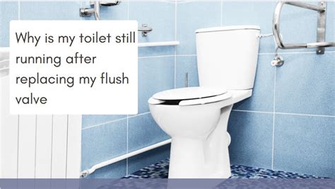 Why Is My Toilet Still Running After Replacing My Flush Valve Taps And Toilets