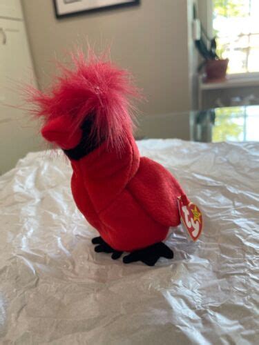 Ty Beanie Babies Mac The Cardinal Plush Toy Tag Errors Ebay