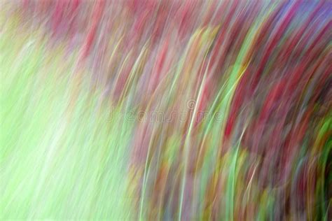 Abstract Motion Blur Colorful Flowers On The Field Stock Illustration
