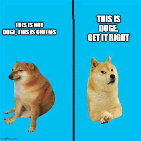 This Is For Those People Who Confuse Cheems With Doge Imgflip