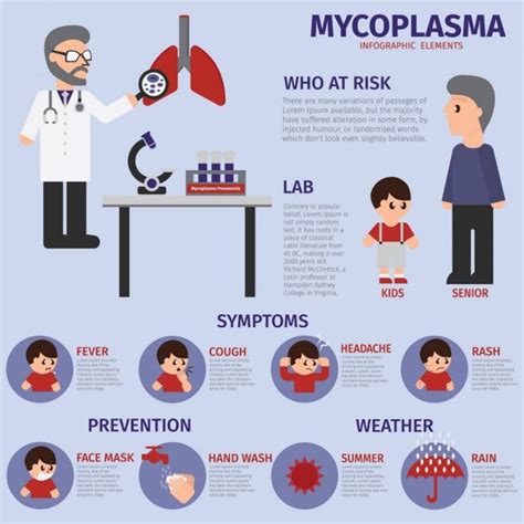 Mycoplasma Symptoms Carriers Types Treatment Prevention Stdgov Blog