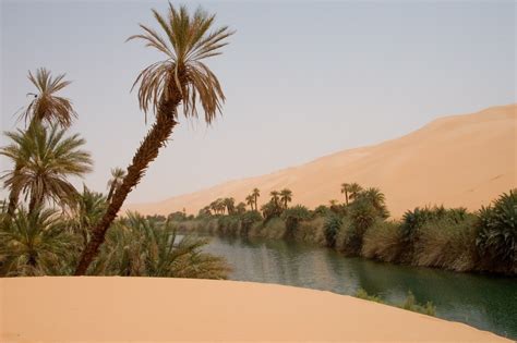 Places Or Travel Beautiful Oasis Sahara In North Western Libya