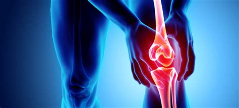 Muscle And Joint Pain Muscle And Joint Physical Therapy Chicago