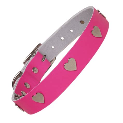 Dog Collar Png Images Transparent Background Png Play