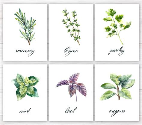 Herbs Print Kitchen Print Kitchen Printable Watercolor Etsy