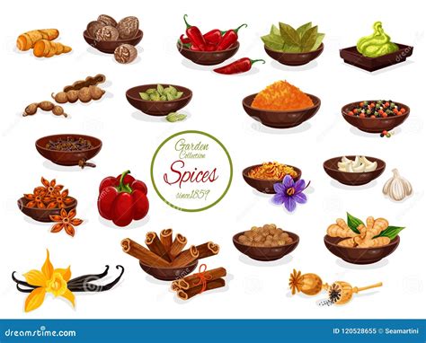 Spice Poster With Set Of Condiment And Seasoning Stock Vector